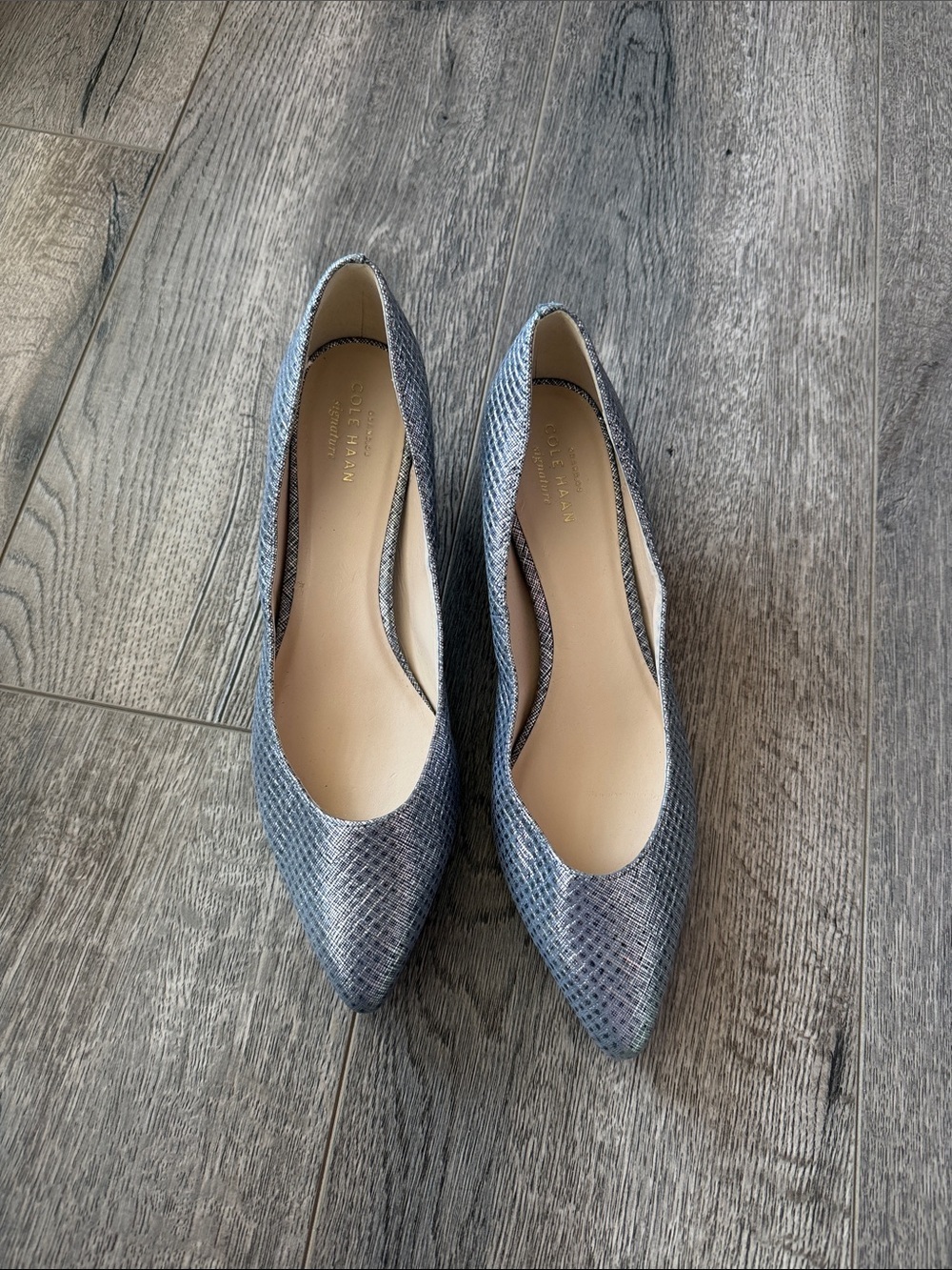 Cole Haan Iridescent Blue Pointed-Toe